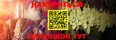 прущие грибы Будённовск