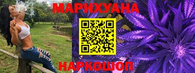 прущие грибы Будённовск