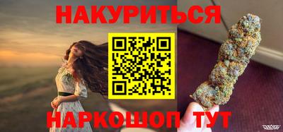 прущие грибы Будённовск