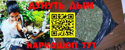 прущие грибы Будённовск