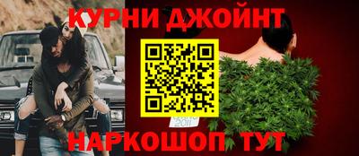 прущие грибы Будённовск